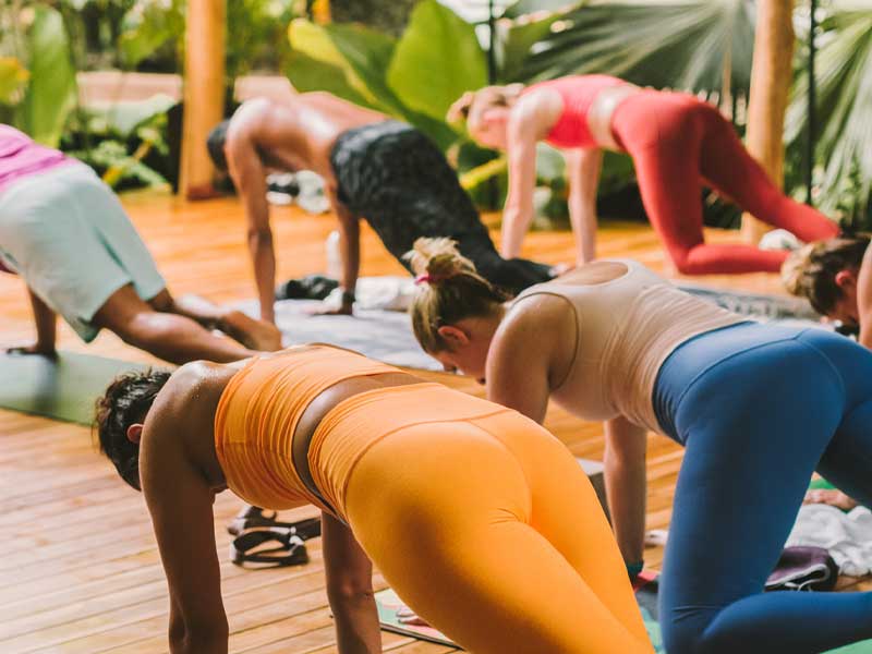 DISCOVER TRANQUILITY AND WELLNESS AT  NANTIPA'S RAINFOREST YOGA SHALA